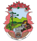 Brasão Prefeitura Municipal de Vila Flores